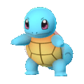Squirtle 007
