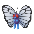 Butterfree 012