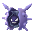 Cloyster 091